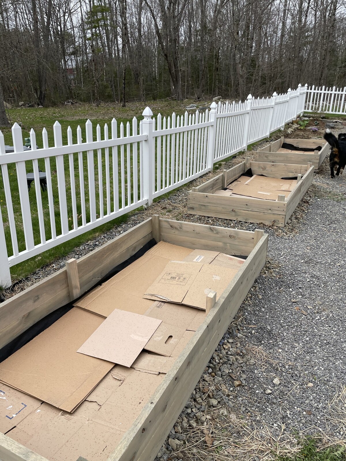 raised garden beds post construction pre soil