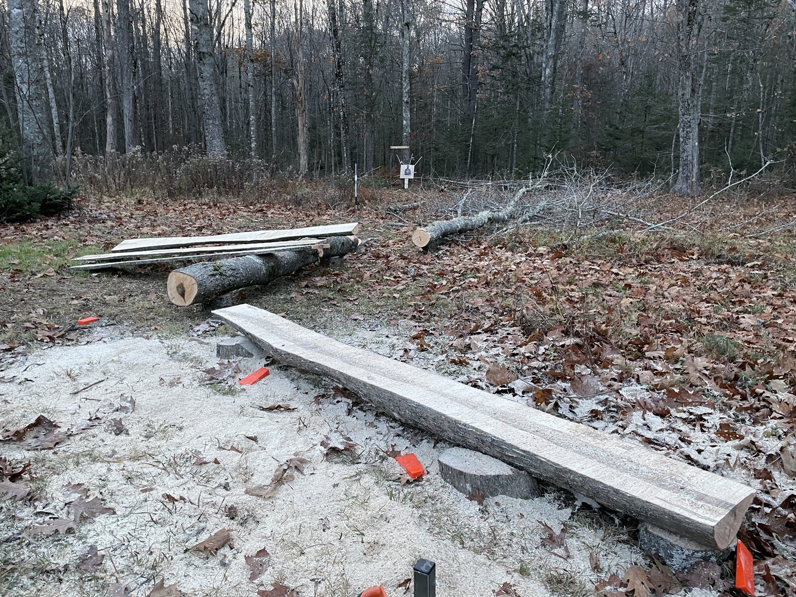 chainsaw mill results