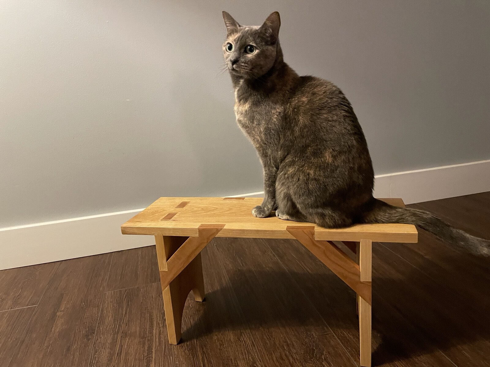 completed shaker bench with my cat sitting on it